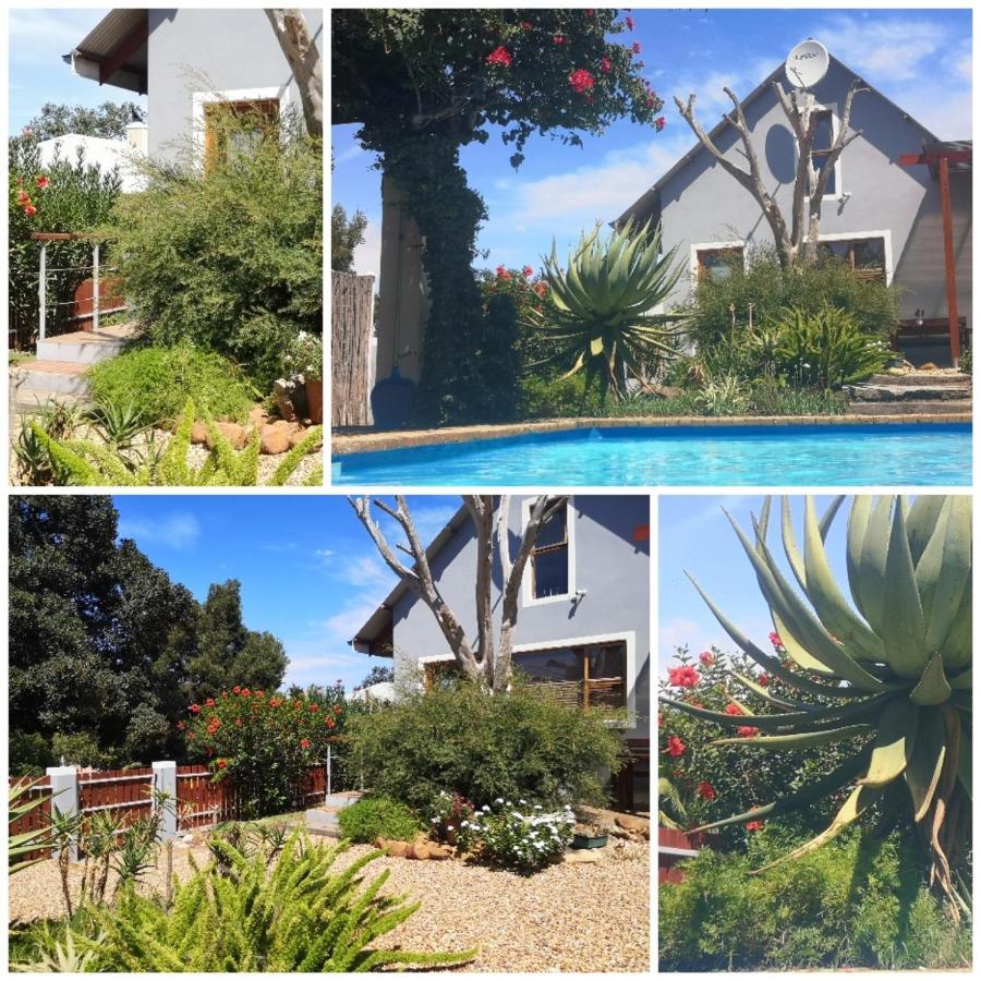 Marula Hospedaje Pensión Swellendam Exterior foto