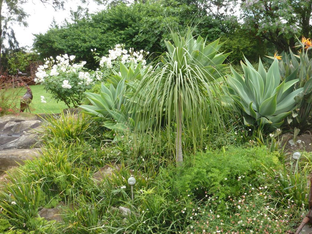 Marula Hospedaje Pensión Swellendam Exterior foto