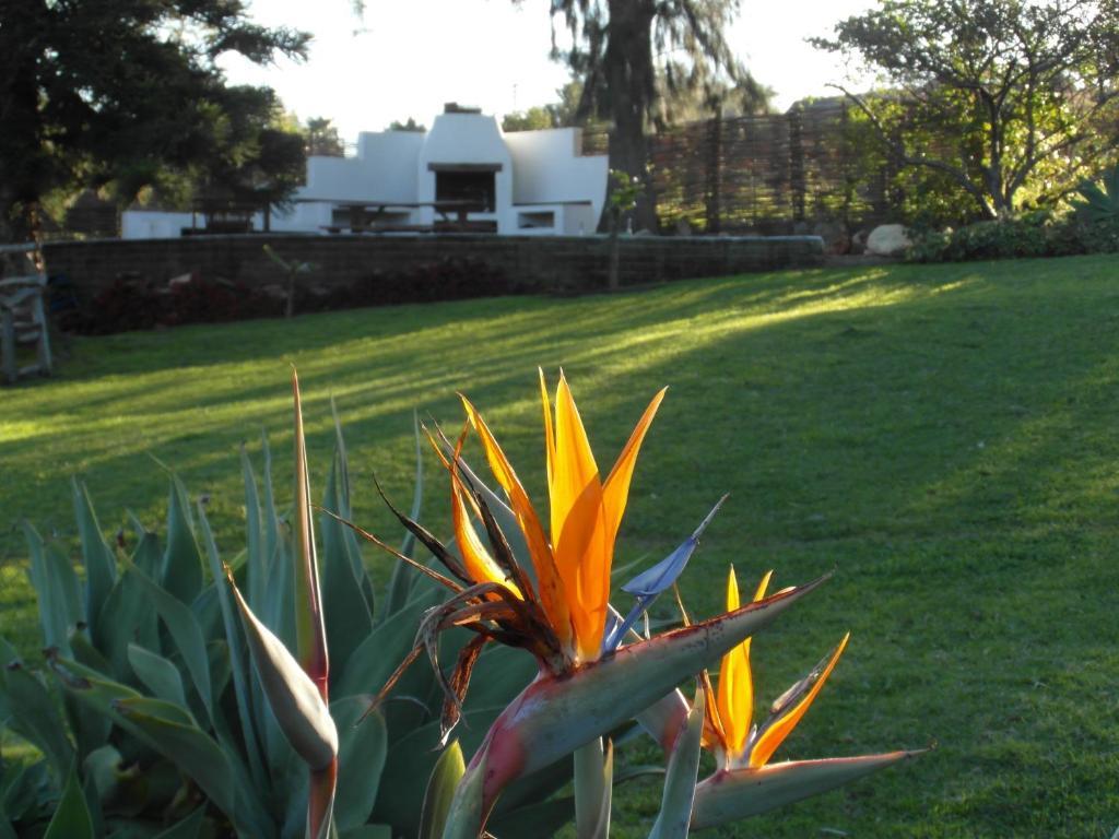 Marula Hospedaje Pensión Swellendam Exterior foto