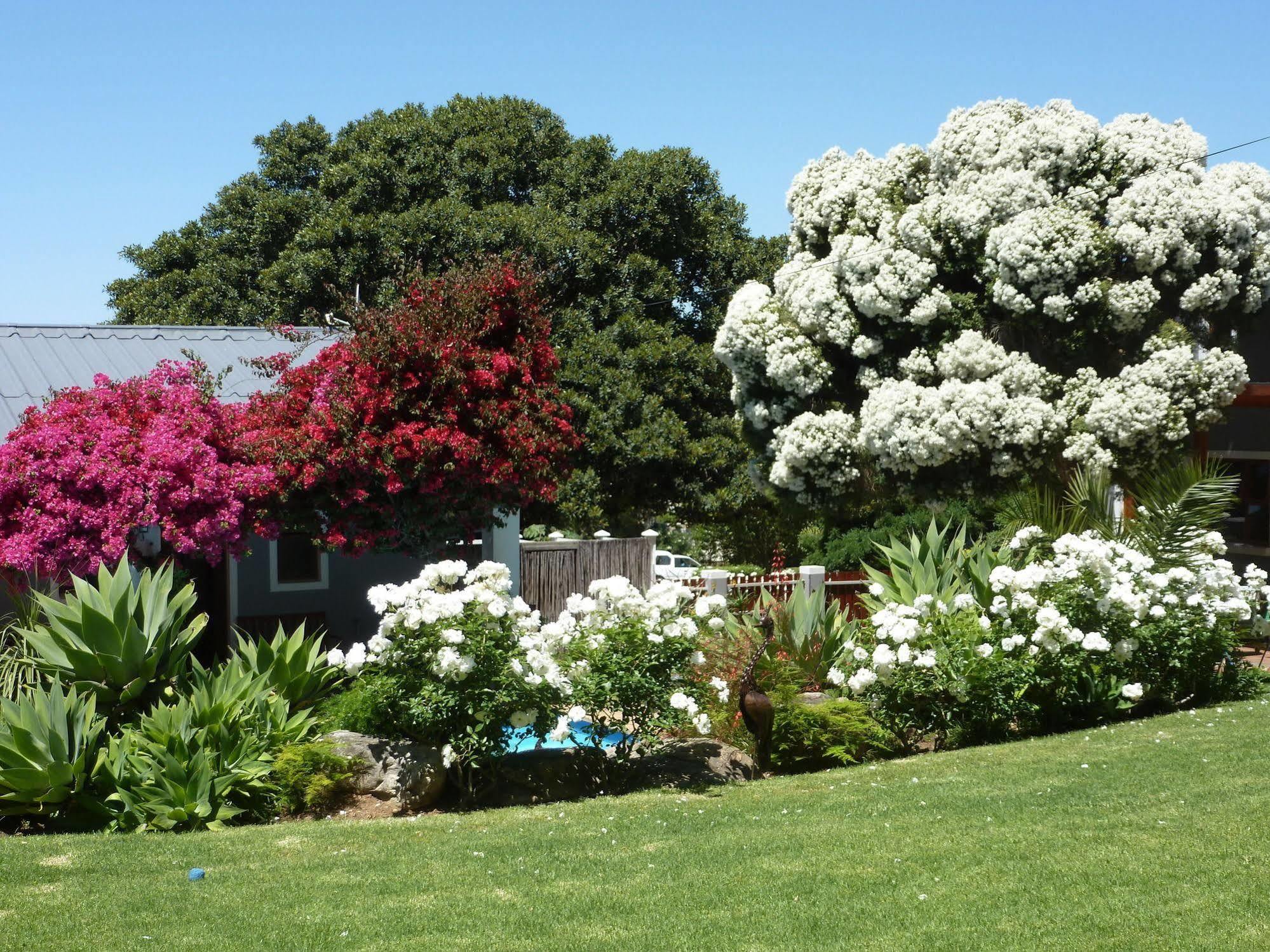 Marula Hospedaje Pensión Swellendam Exterior foto